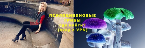 ГАЛЛЮЦИНОГЕННЫЕ ГРИБЫ Дмитров