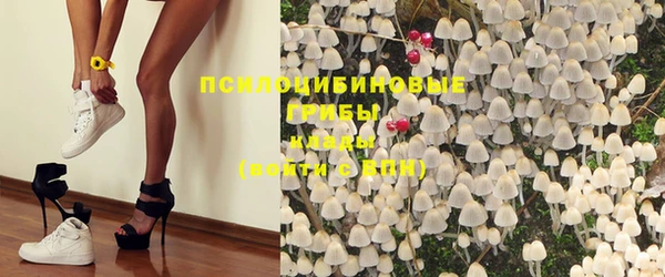 ГАЛЛЮЦИНОГЕННЫЕ ГРИБЫ Дмитров