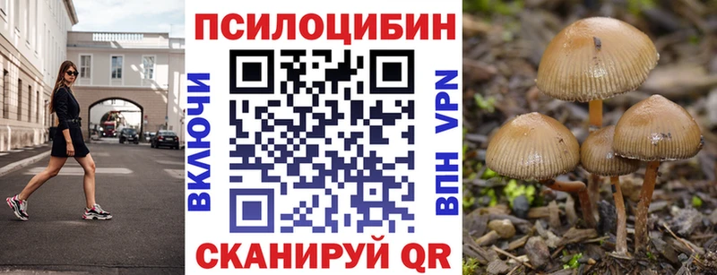 Псилоцибиновые грибы прущие грибы  Купить закладки  Шенкурск 